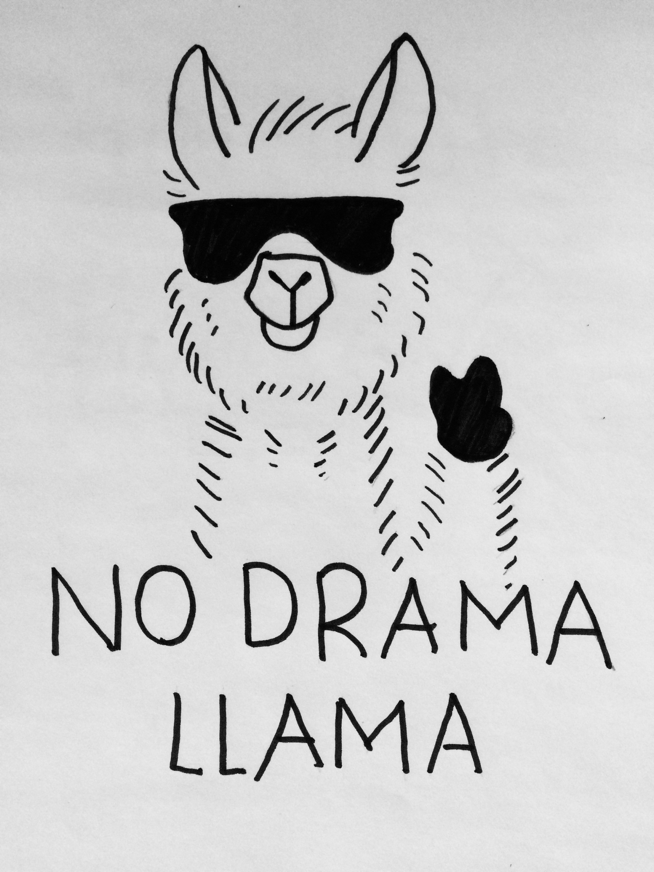 no drama lama  Lama zeichnung, Illustration kunst zeichnung