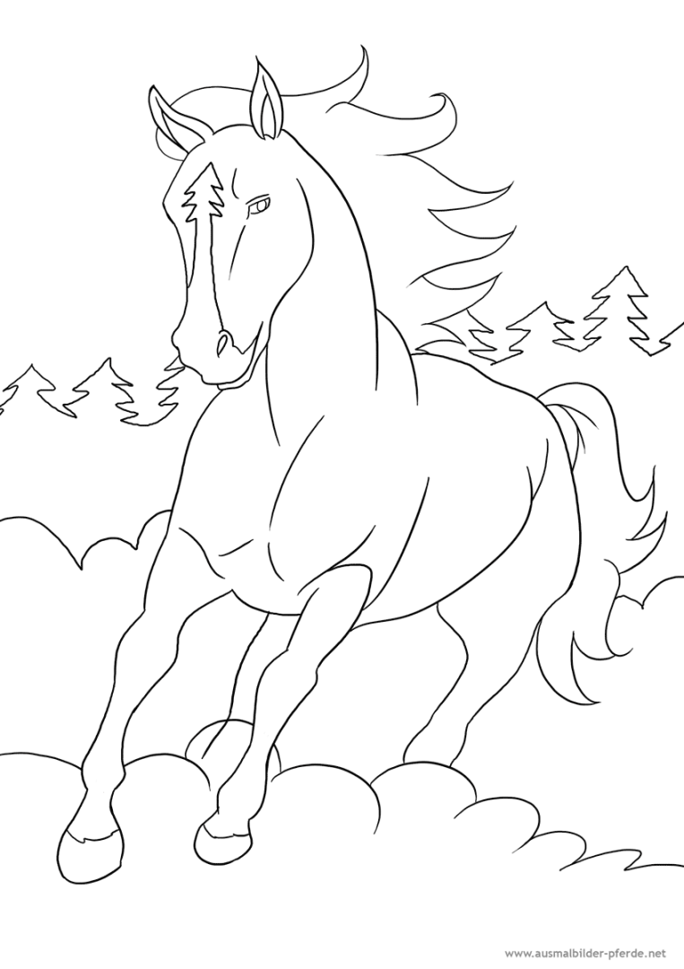 Animal coloring pages, Horse drawings, Coloring pages