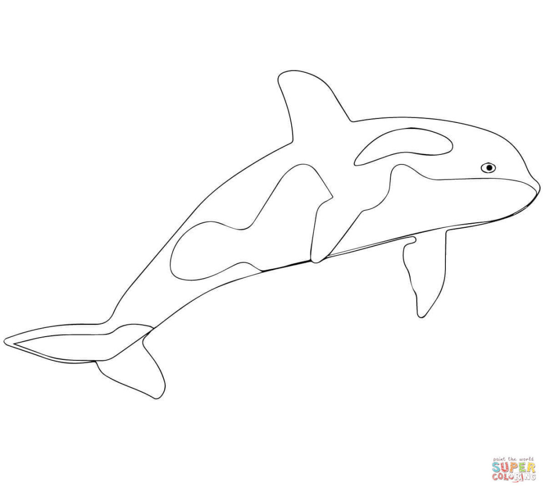 Ausmalbild: Orca oder Schwertwal  Ausmalbilder kostenlos zum