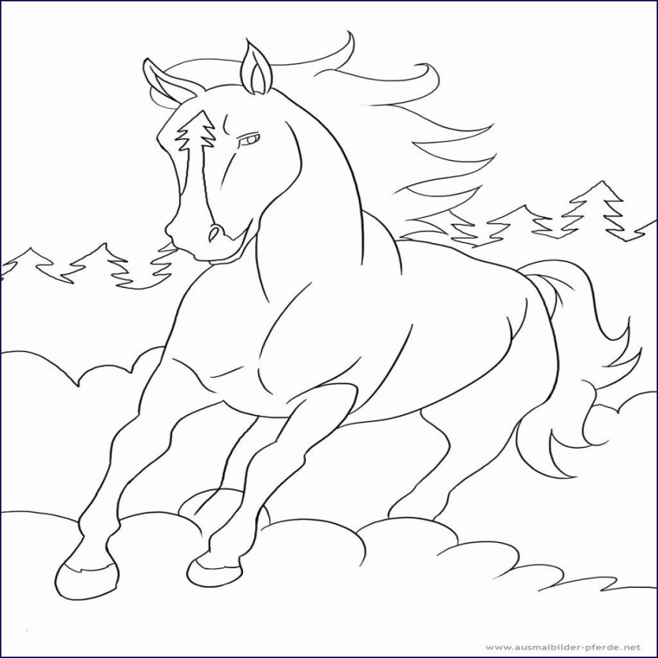 Einzigartig Ausmalbilder Ostwind Fotos  Animal coloring pages