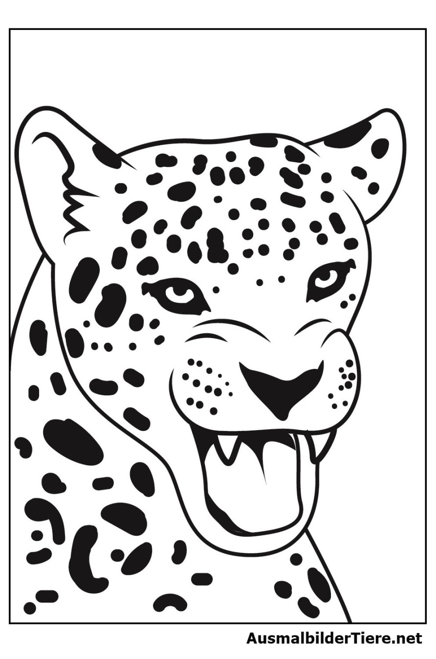 Ausmalbilder Leoparden und Jaguar,  Stück Kostenlos als Pdf